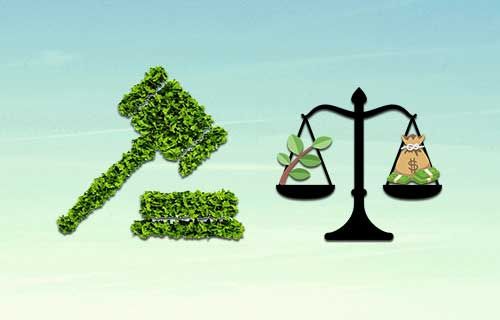 The Legal Battle Against Environmental Pollution: New Trends in Environmental Jurisprudence in India